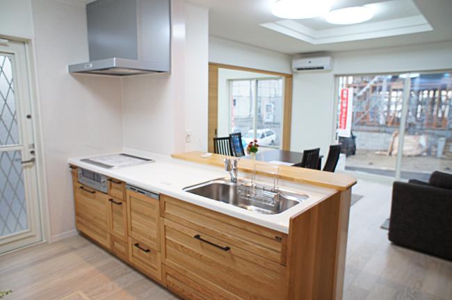 Kitchen. Model house