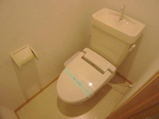 Toilet. Warm water washing toilet seat