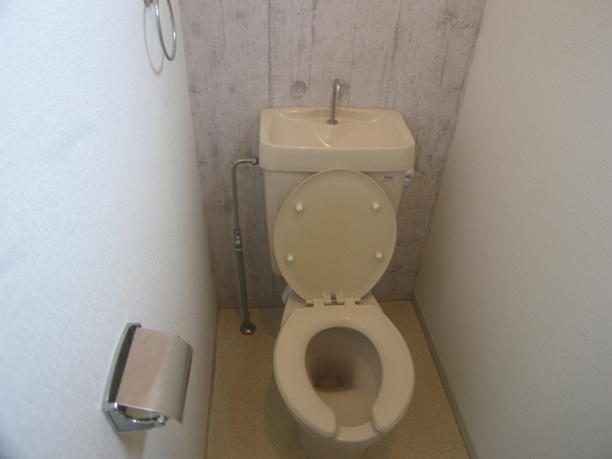 Toilet. Toilets independent properly! 