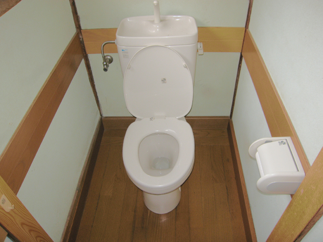 Toilet. Western-style toilet! 