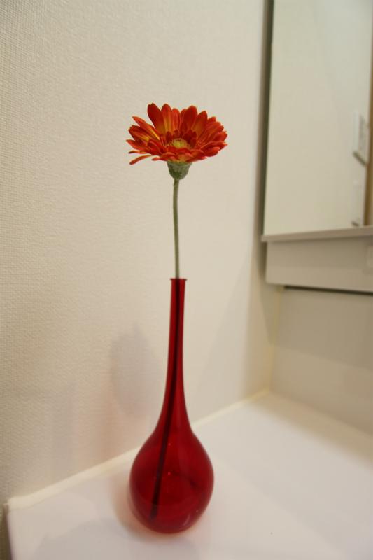 Model house photo. The photograph is a property of the same manufacturer and construction