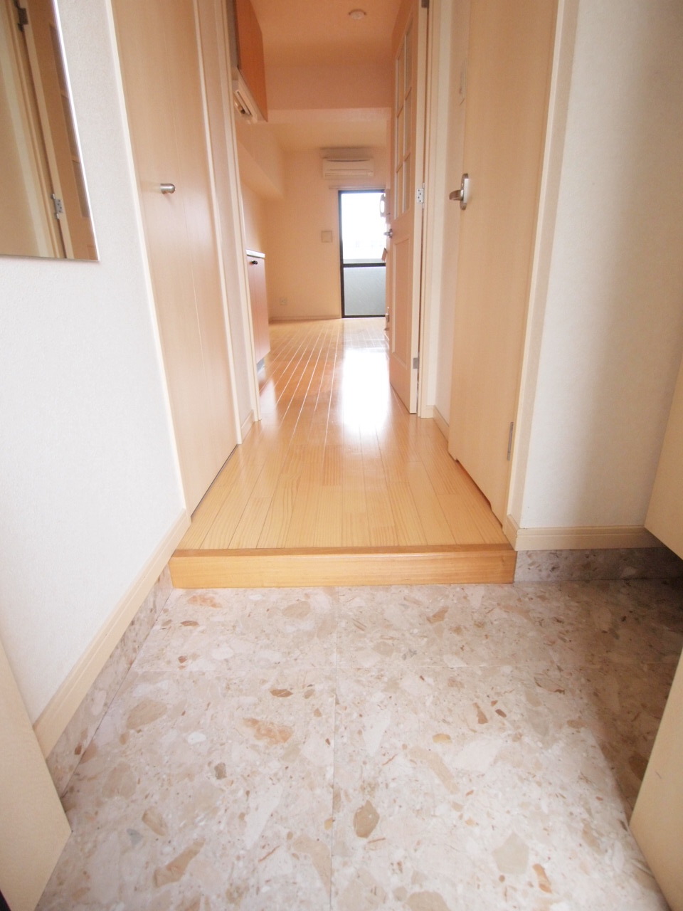 Entrance. Is the entrance that is entering the room fun