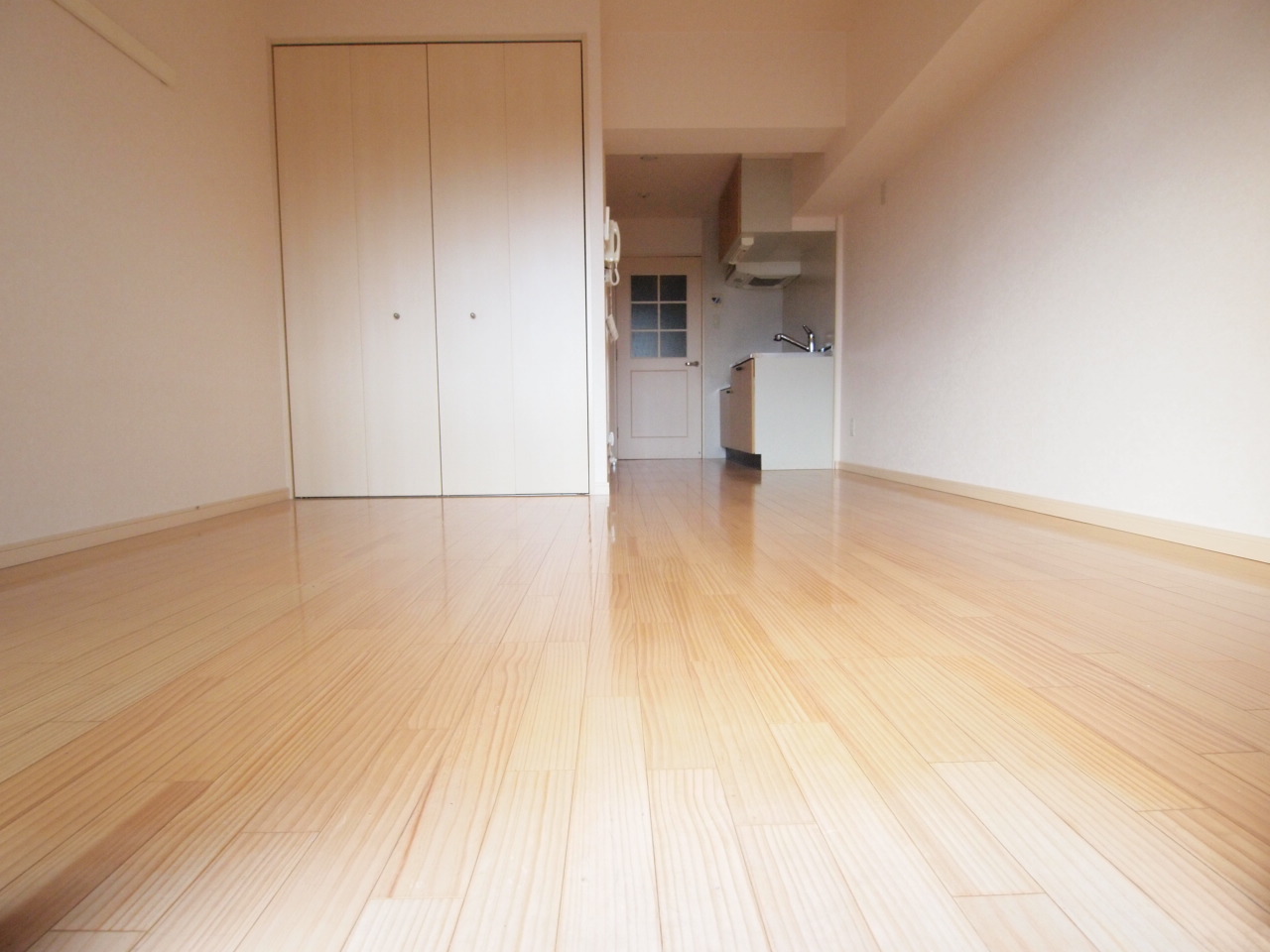 Living and room. Bright room