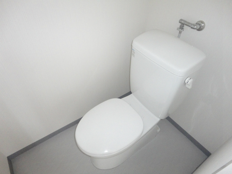 Living and room. Toilet
