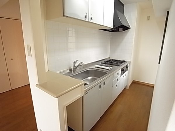 Kitchen. Kitchen