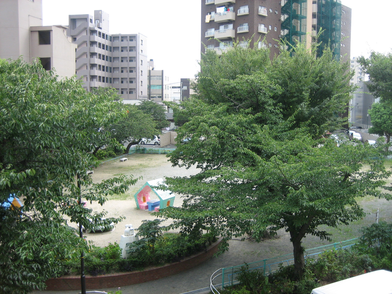View. Views of the park from the veranda. Cherry blossoms in spring is beautiful.