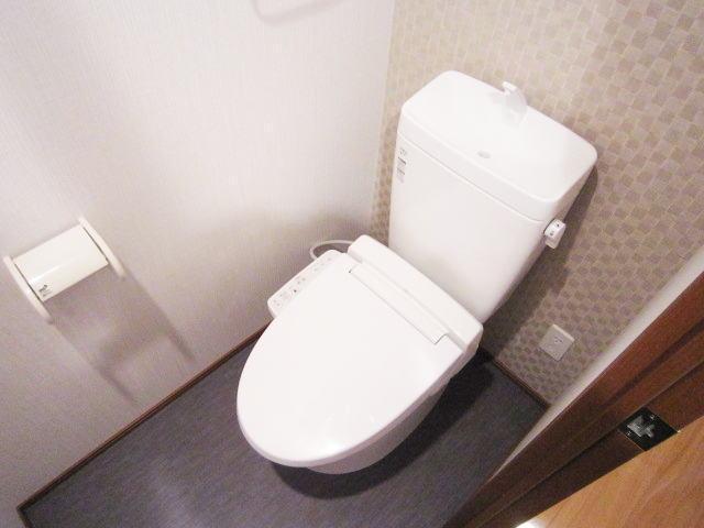 Toilet. Warm water washing toilet seat