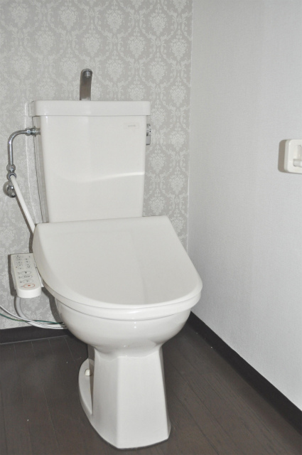Toilet. Reform is before. Please Come preview the after renovation