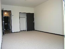 Living and room. More than twice the carpet