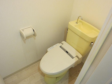 Toilet