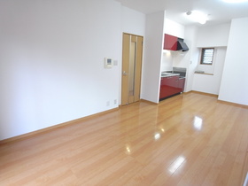 Living and room. Living room