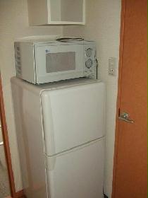 Other. It is with consumer electronics! 