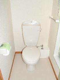 Toilet. Floor plan is slightly different depending on your room.