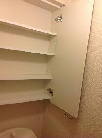Toilet. It comes with a firmly housed in the toilet