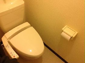 Toilet. Washlet comes