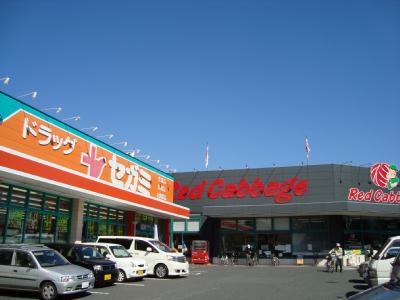 Dorakkusutoa. Drag Segami Jono shop 1334m until (drugstore)