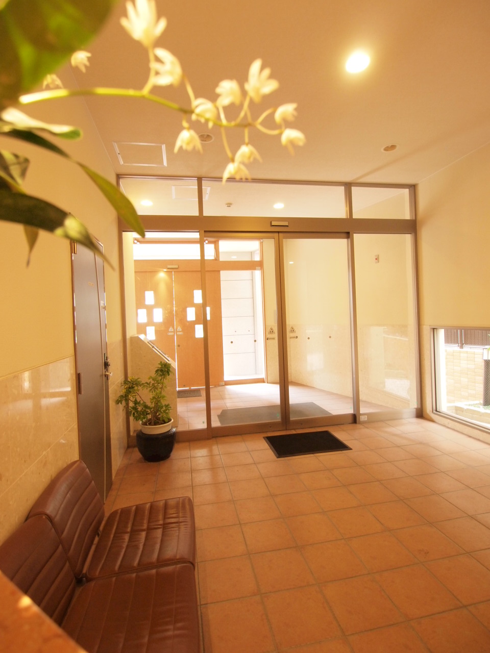Entrance
