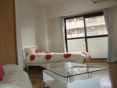 Other room space. Model photo