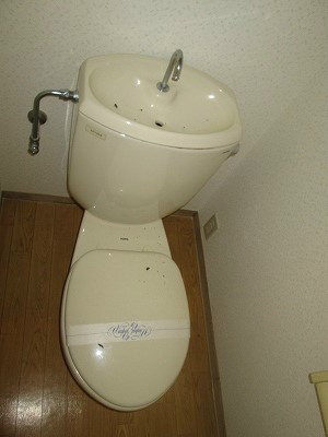 Toilet