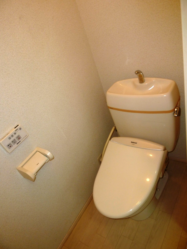 Toilet. Shower toilet
