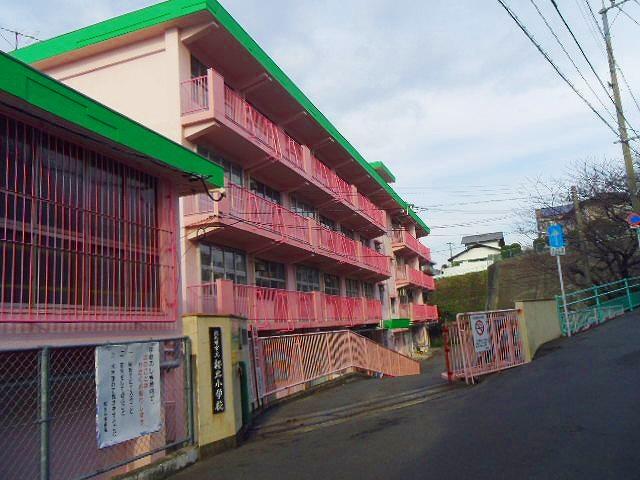 Primary school