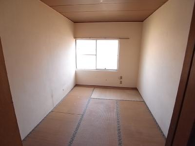 Living and room. Living