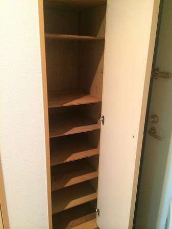 Other. It is a shoebox.