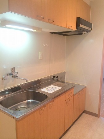 Kitchen. Spacious kitchen ☆