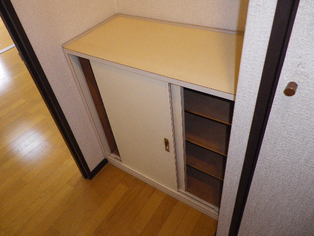 Receipt. Shoes BOX