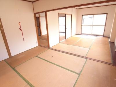 Living and room. Living