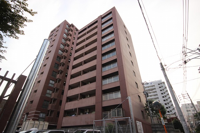Building appearance. Outer wall calm Brown