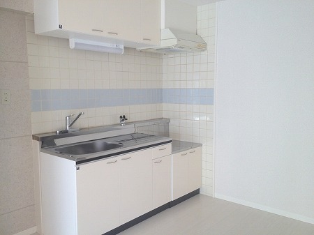 Kitchen. Beautiful white kitchen