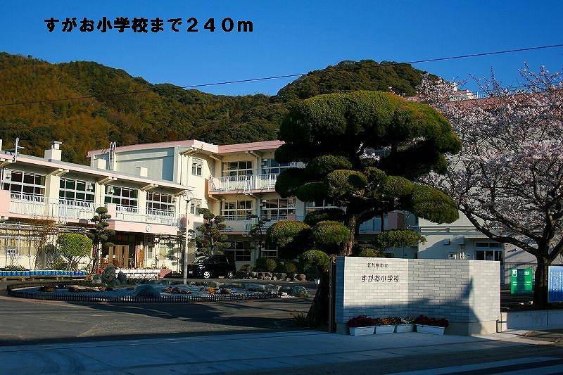 Primary school. Real face up to elementary school (elementary school) 240m