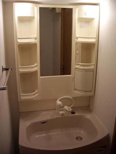 Washroom. Shampoo dresser
