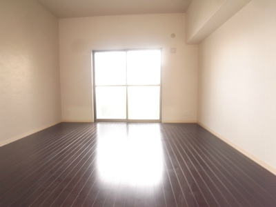 Living and room. Living