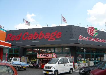Supermarket. Red 450m until the cabbage (super)