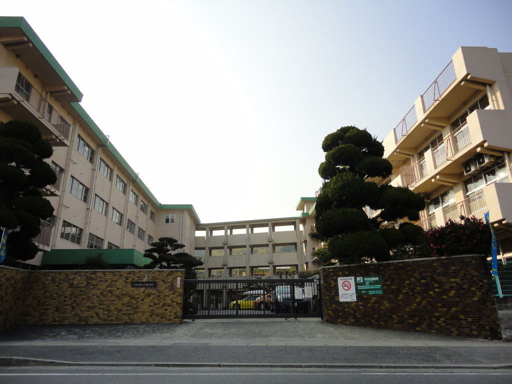 Primary school. CHILLY to elementary school (elementary school) 729m