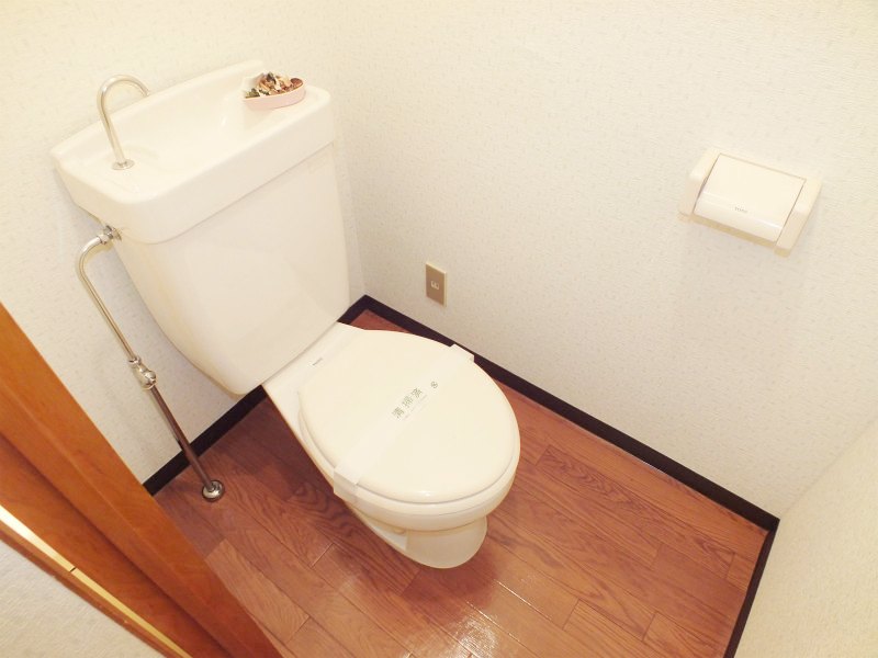 Toilet. The daily life indispensable toilet is clean "! "!