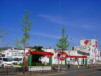 Supermarket. Red cabbage Tokuriki store up to (super) 386m