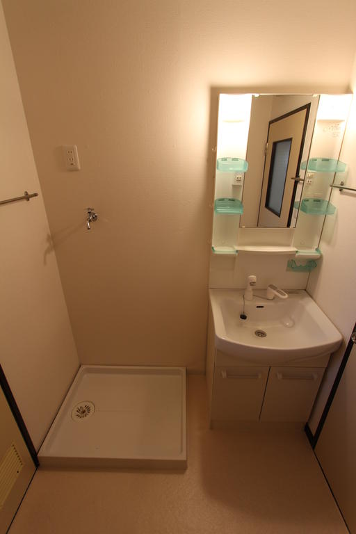 Other. New shampoo dresser