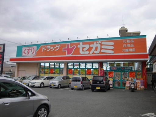 Dorakkusutoa. Drag Segami Jono shop 978m until (drugstore)