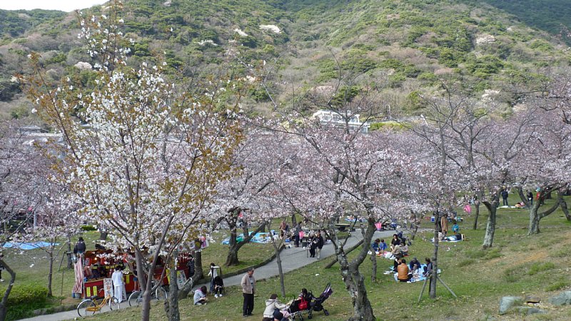 park. Abeyama 132m to the park (park)