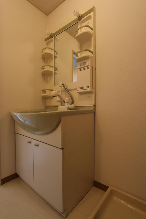 Washroom. Shampoo dresser