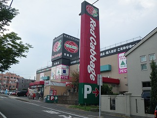 Shopping centre. Red cabbage Sone store (shopping center) to 400m