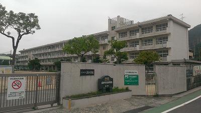 Primary school. Swamp elementary school