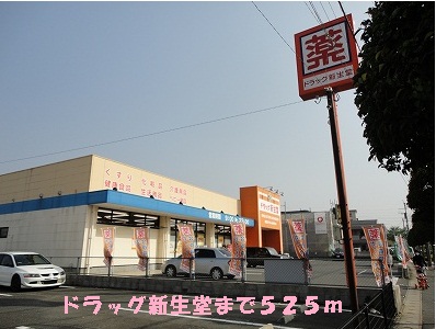 Dorakkusutoa. Drag Shinseido until (drugstore) 525m