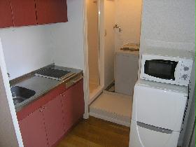 Kitchen. Floor plan of the room might be somewhat different.