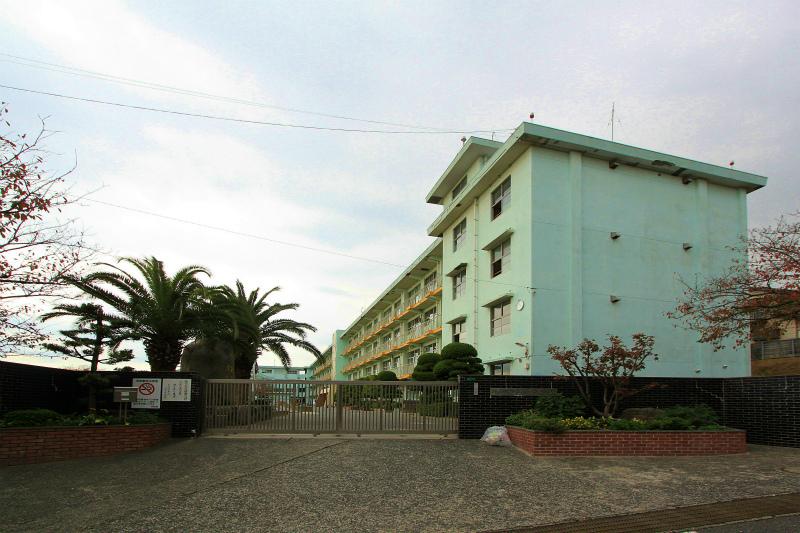 Junior high school. 209m to swamp junior high school