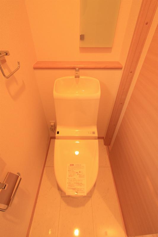 Toilet. 2013 November 20, shooting