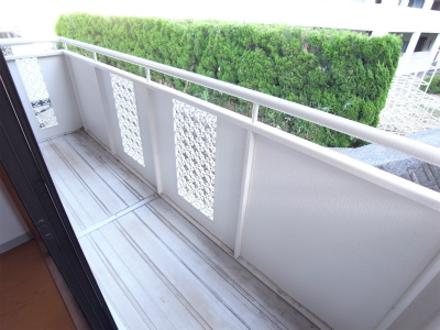 Balcony. Veranda